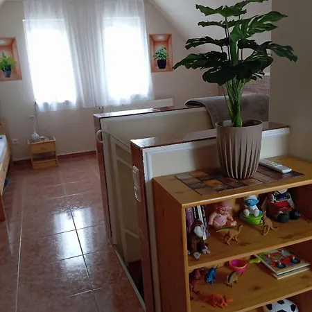 Josva Vendeghaz Sárospatak