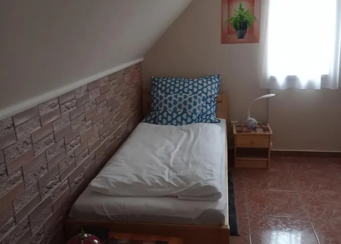 Josva Vendeghaz 게스트하우스 Sárospatak